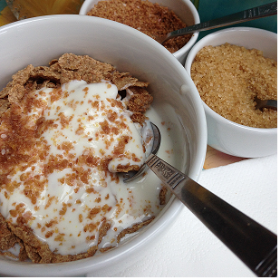 edible insect flour breakfast idea