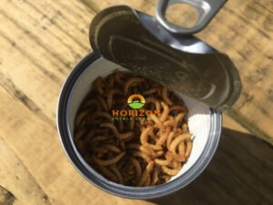 Edible insects Brexit