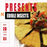 London edible insect event