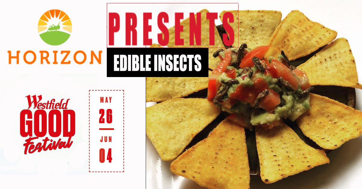 London edible insect event