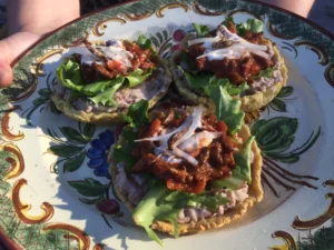 edible crickets mexican platter