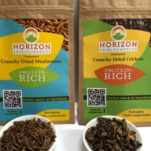 edible insects sampler bundle - crickets and mealworms for humans