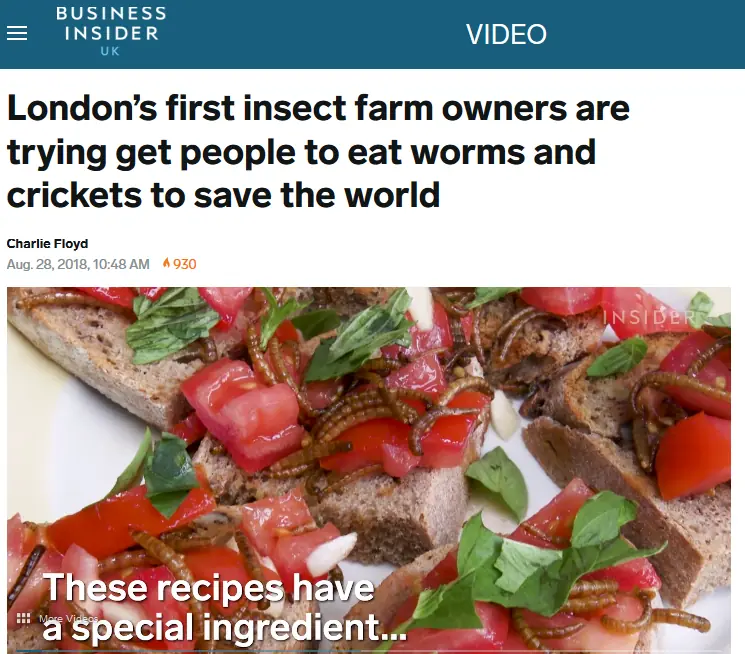 edible insect bruschetta recipe