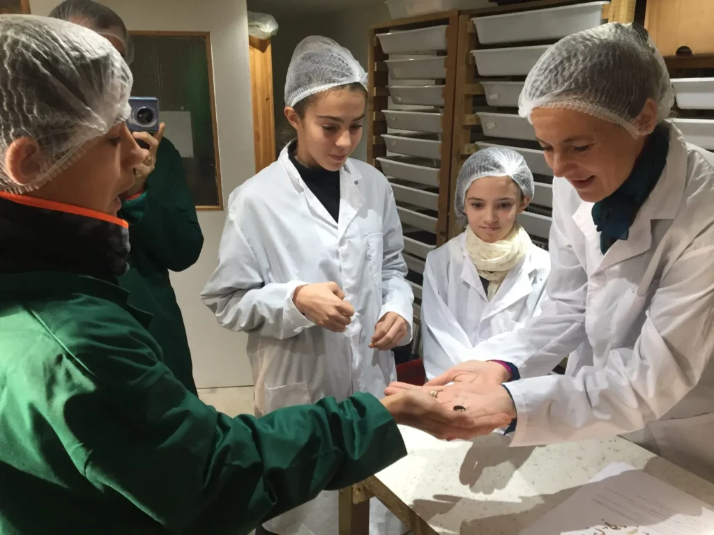 edible insect family group experience