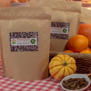 Cheap edible crickets