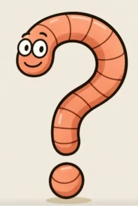 Edible insects frequently asked questions