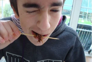 Young man tries edible insects