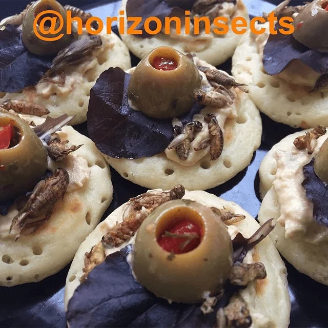 Insect snacks - edible insect canape