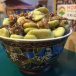 insect snacks Insect snacks