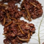 edible mealworms chocolate rice pops