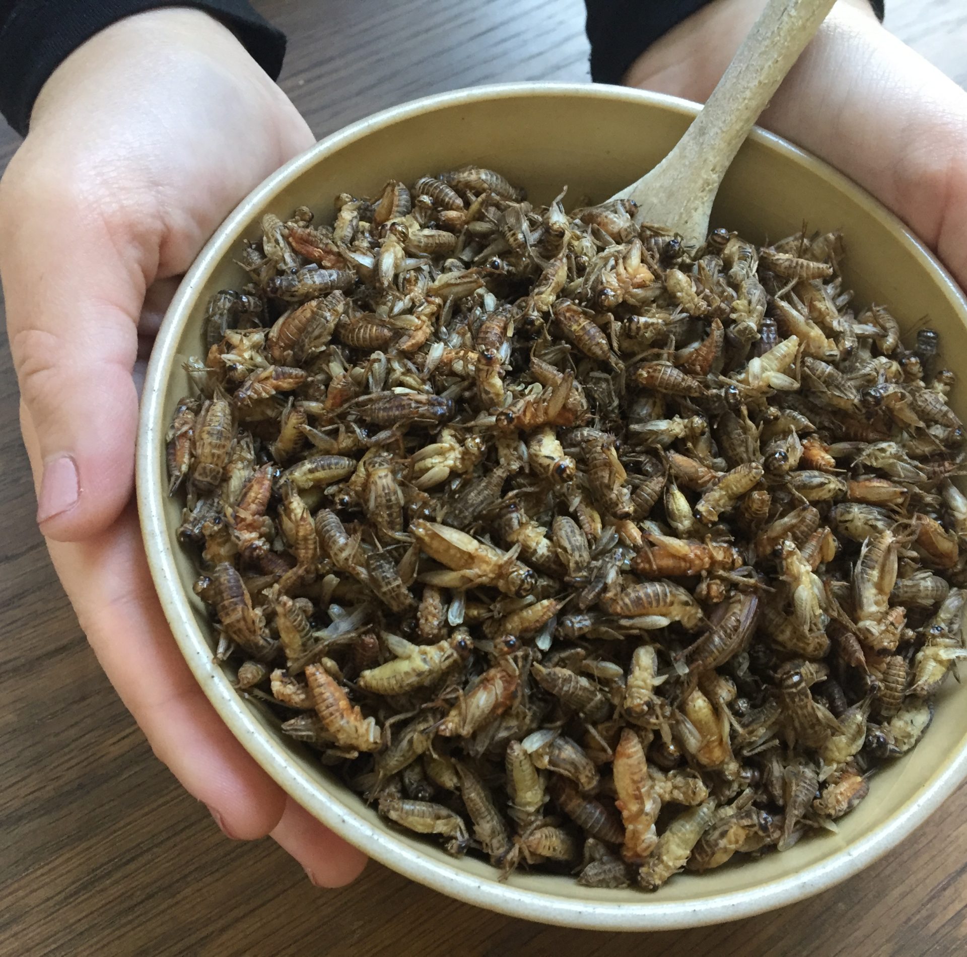 Edible Crickets | by Horizon Edible Insects London U.K.