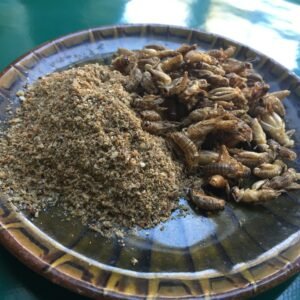 Whole and ground edible crickets ready for consumption.