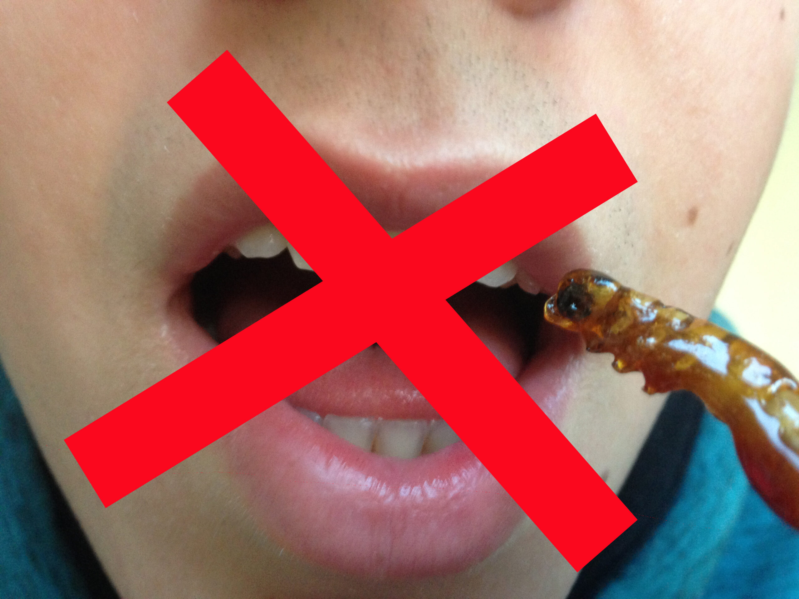 Illegal UK edible insects