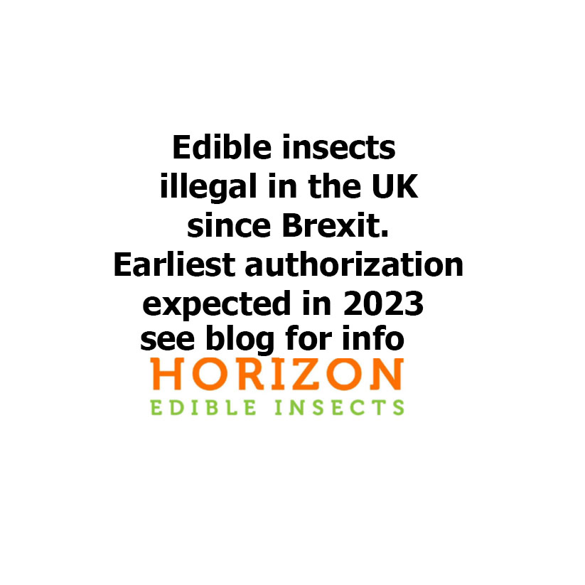 Edible insects news