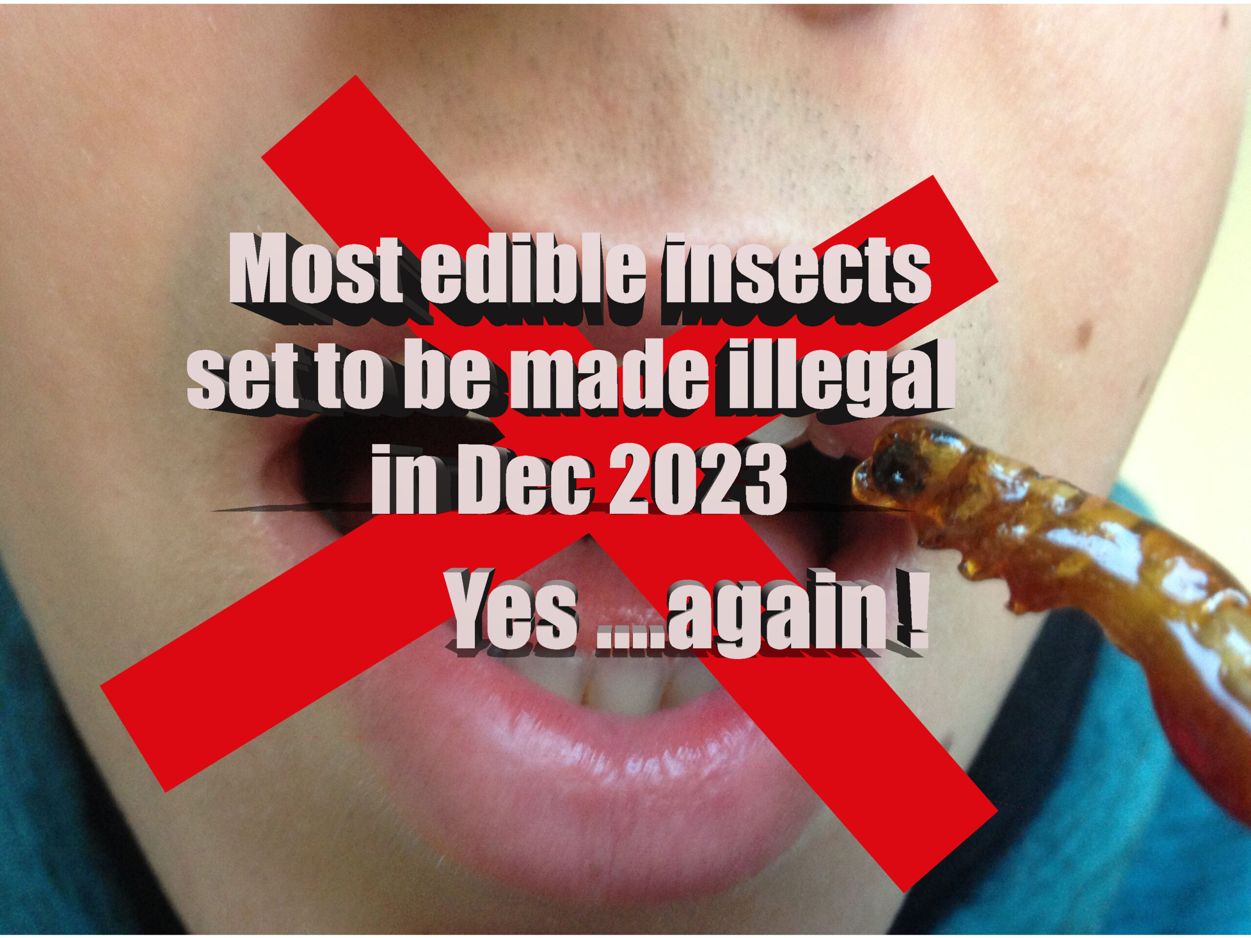 Edible insects legal status 2023
