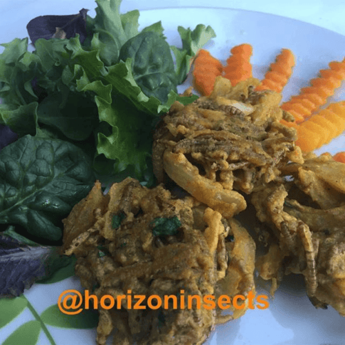 A closer look at Snake Mealworm Recipes Homemade