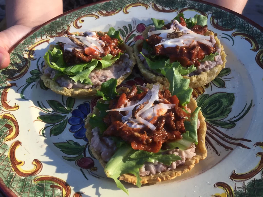 image00002 edible crickets mexican platter