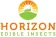 Horizon Logo