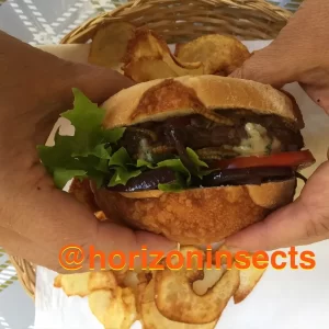 Bug burger made with edible insects