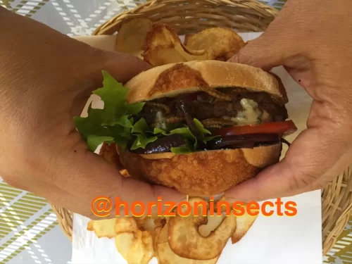 Bug burger made with edible insects