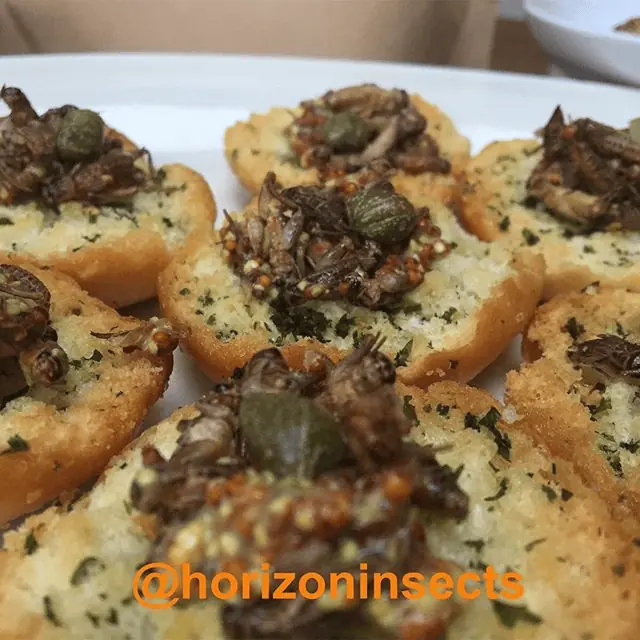 Edible-insects-crostini-canapes edible insect canapés recipe
