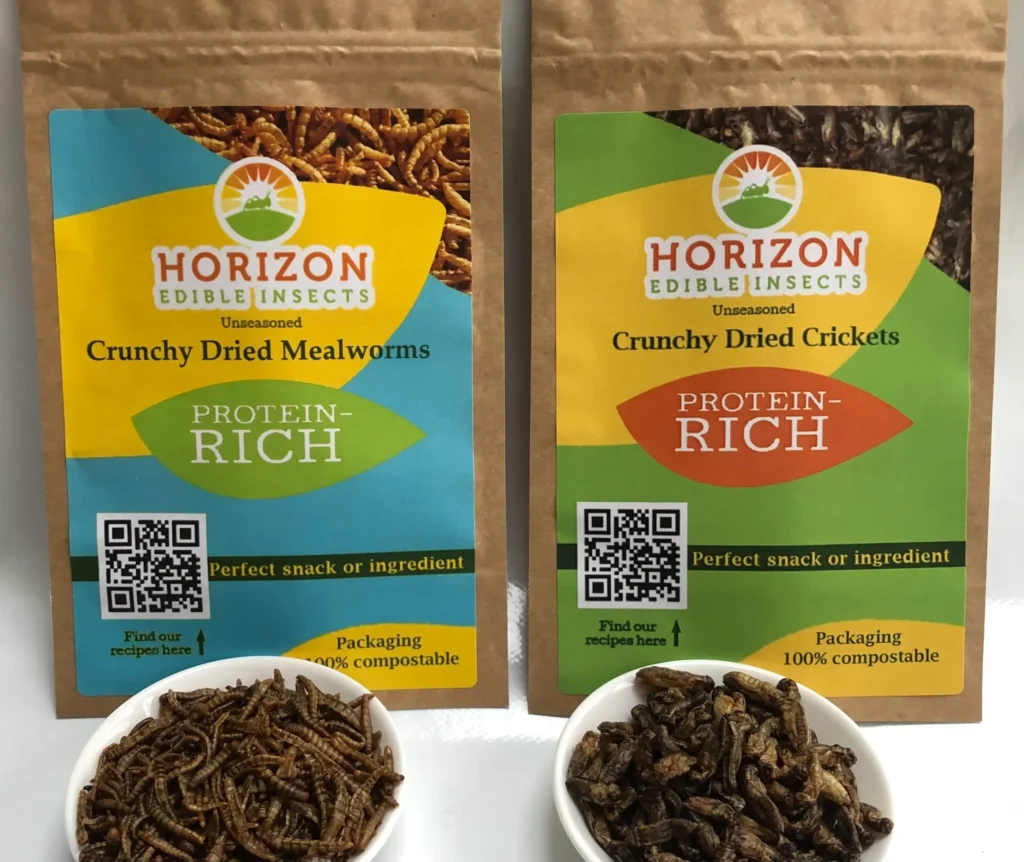 assorted edible insect sampler bundle