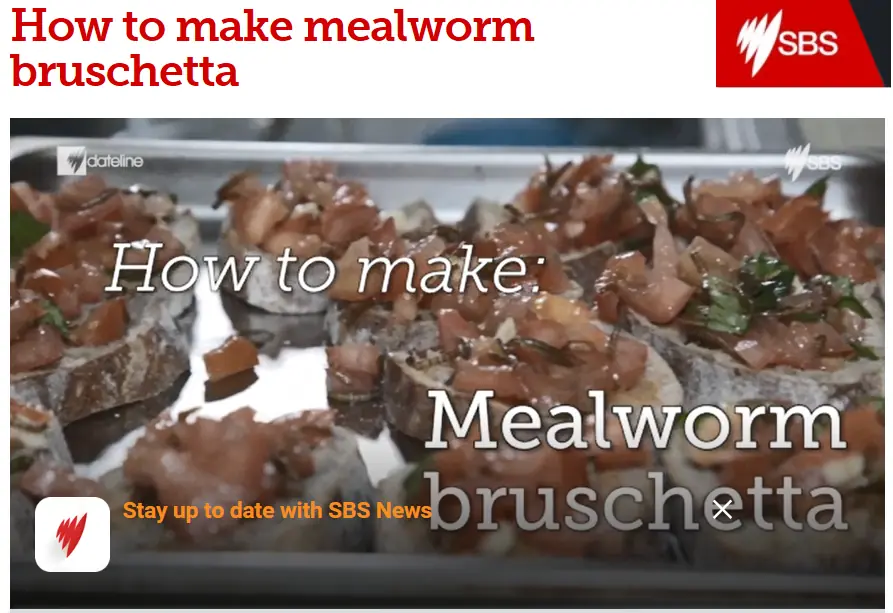 edible crickets bruschetta recipe