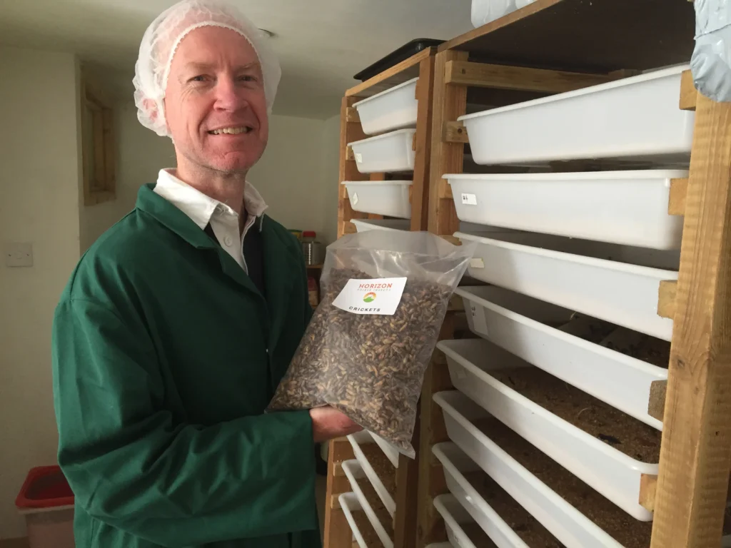 Cheap edible crickets bulk bag
