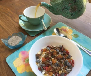 edible insects fruit and nuts granola